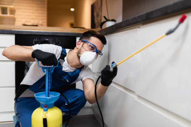 Best Residential Pest Control  in Bellair Meadowbrook Terrace, FL