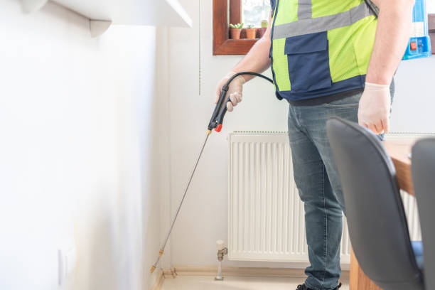 Best Best Pest Control Companies  in Bellair Meadowbrook Terrace, FL