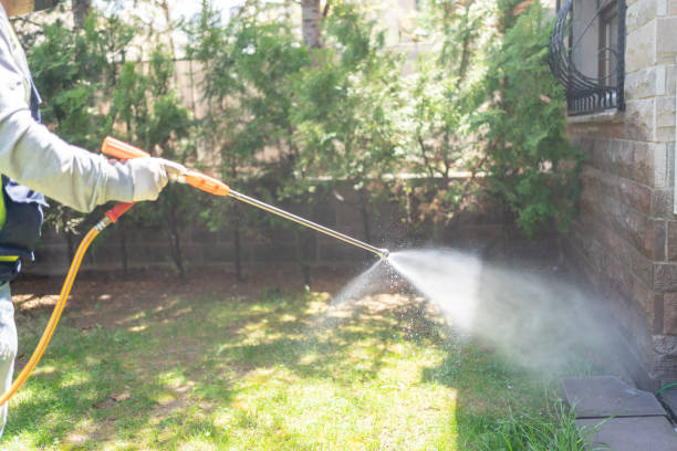 Professional Pest Control in Bellair Meadowbrook Terrace, FL