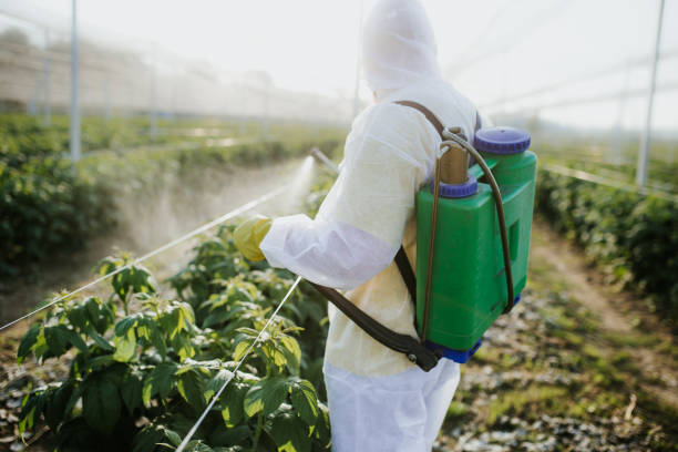 Pest Control for Restaurants in Bellair Meadowbrook Terrace, FL